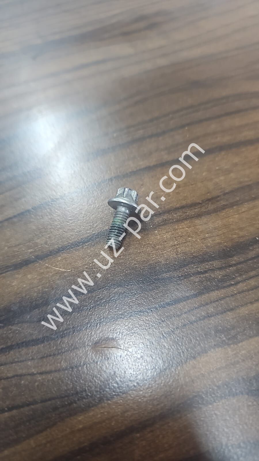 ZF Traxon Vites Okuyucu Sensörü Plastik Civatası M6x16 0636102673