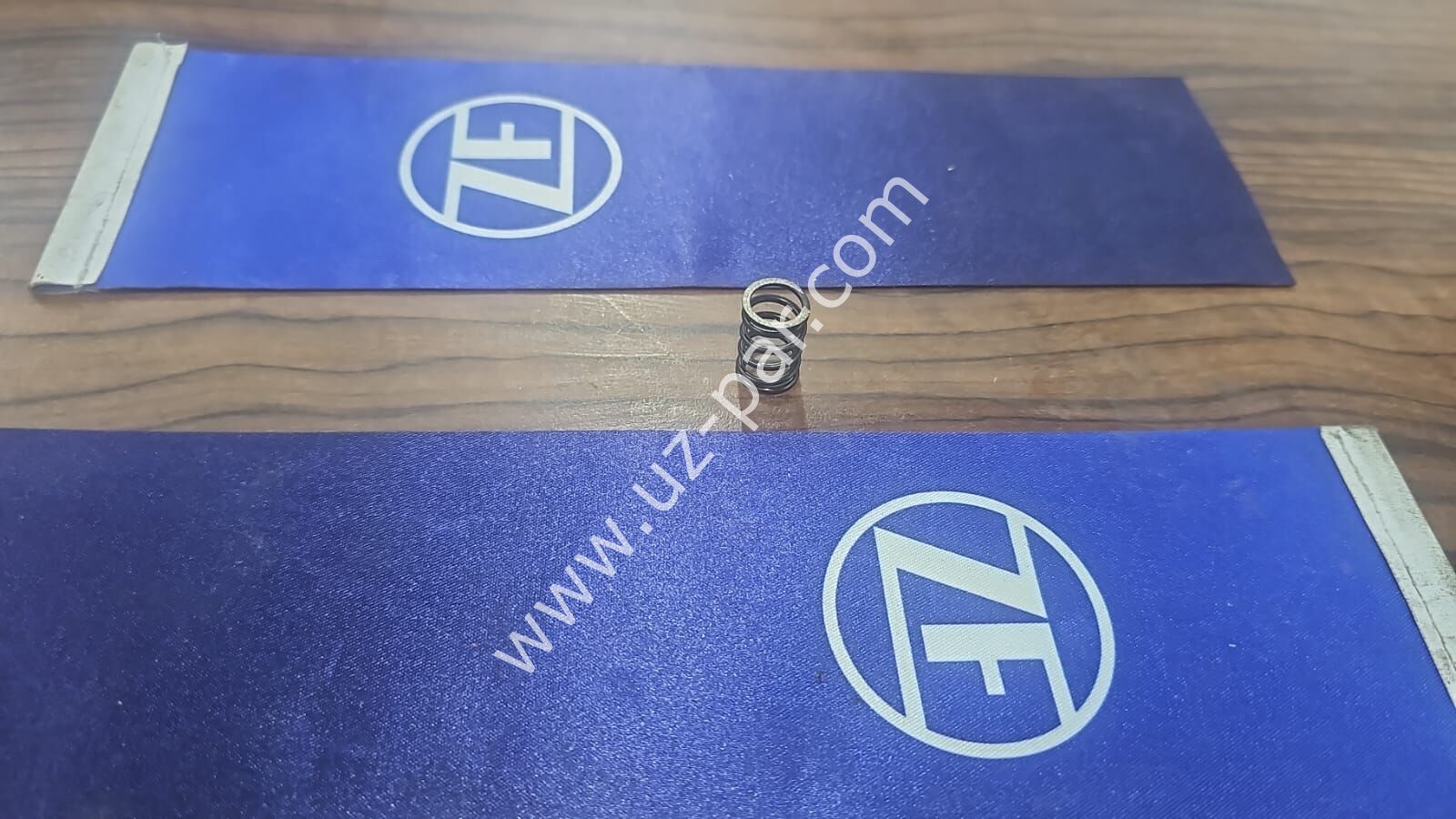 ZF Traxon Vites Kilidi Yayı 0732300151