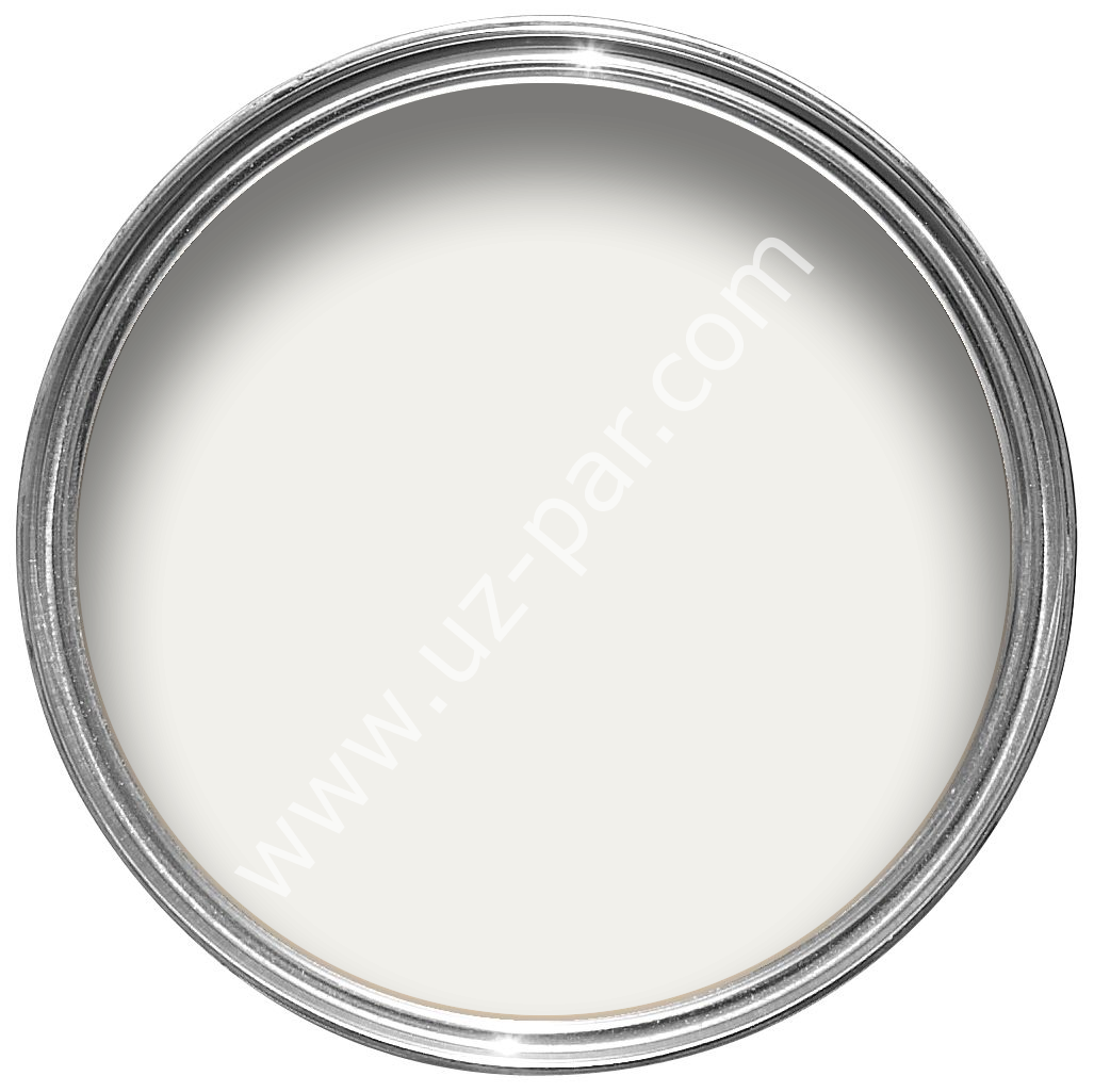 TIRSAN Kapak Ve Ön Panel Boyası Beyaz RAL9016