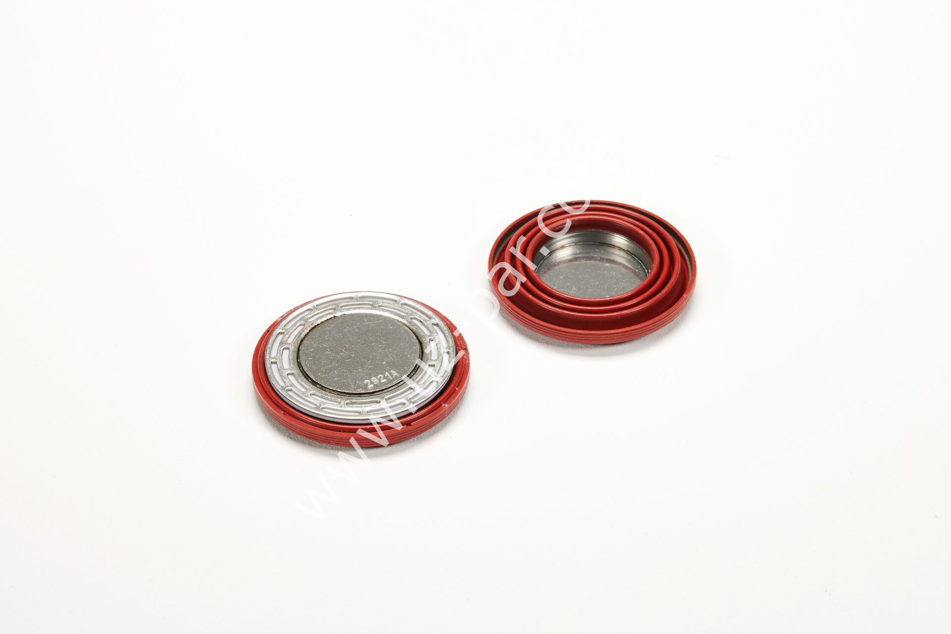 BPW Kaliper Tamir Takımı BPW TS2 09.801.08.81.0 , 0980108810