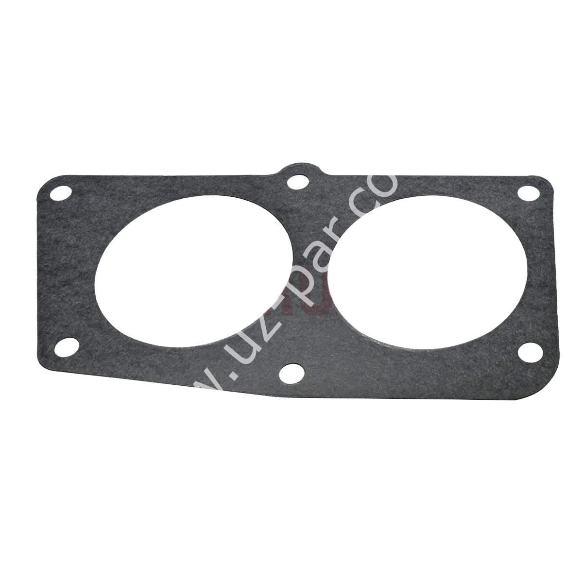 ELRİNG Su Manifold Contası RENAULT Magnum AE (Büyük)	 5000693284